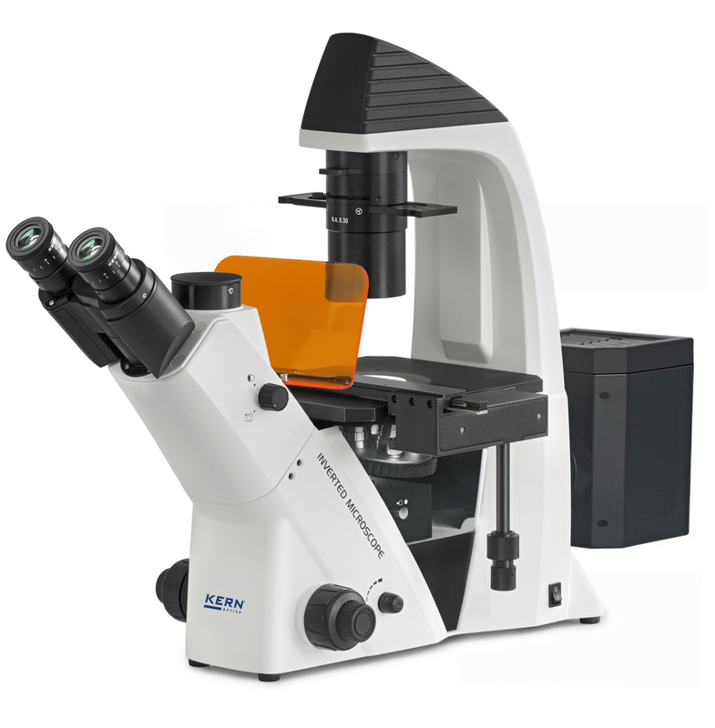 Fluorescence Microscopes